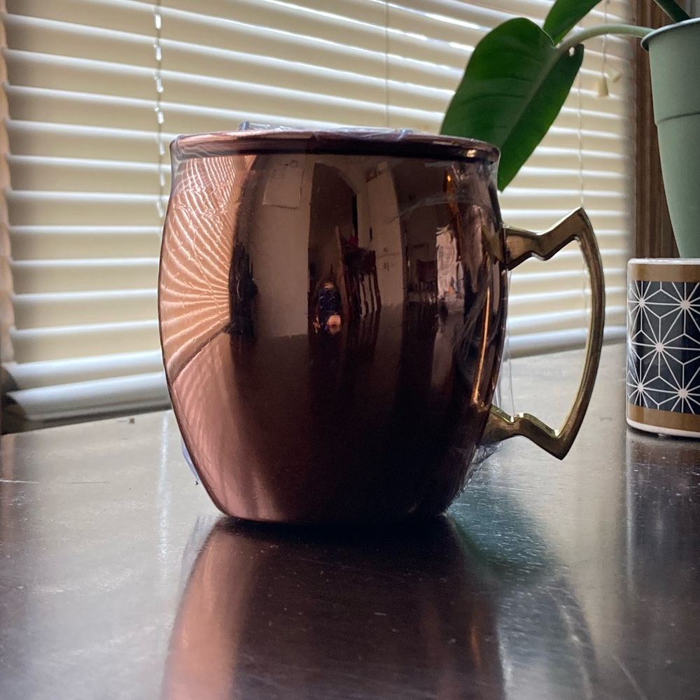 Copper Moscow Mule Mug, Silver Handle - Eco One By Silver One Internatio…